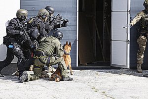 Funkcjonariusze samodzielnego pododdziału kontrterrorystycznego Policji z wykorzystaniem psa szturmowego wchodzą do budynku.