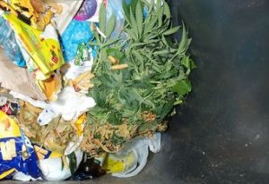 narkotyki znalezione  w śmietniku