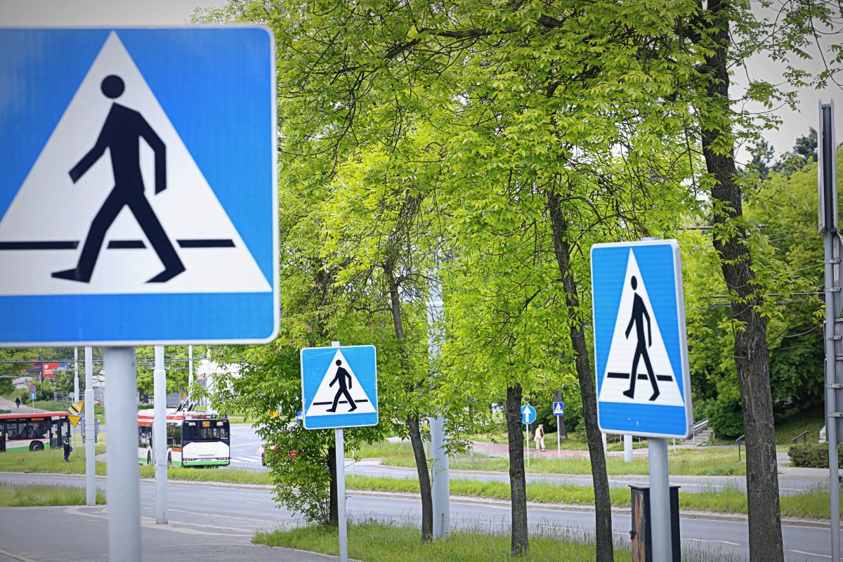 Ciąg znaków D3 dla pieszych. Postać człowieka idącego w białym trójkącie i niebieskim tle.