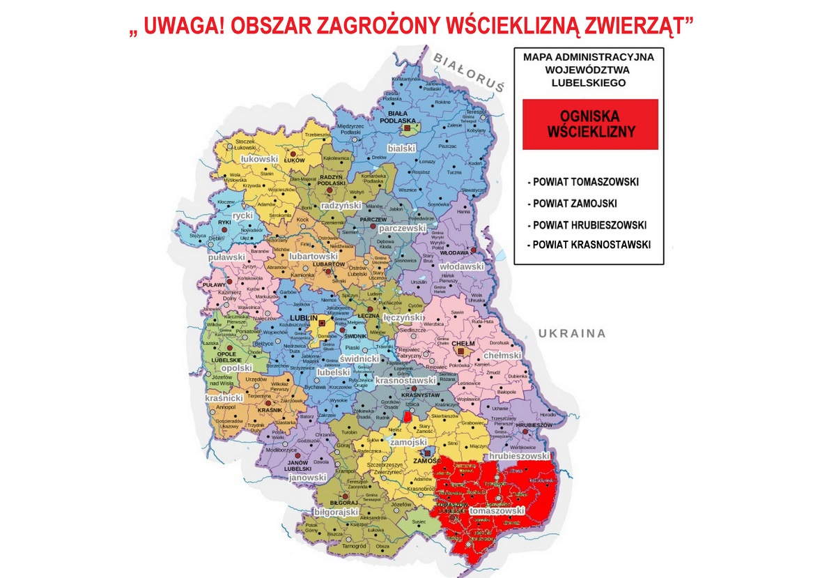 Mapa Województwa Lubelskiego na której widać obszary zagrożone wścieklizną zwierząt.