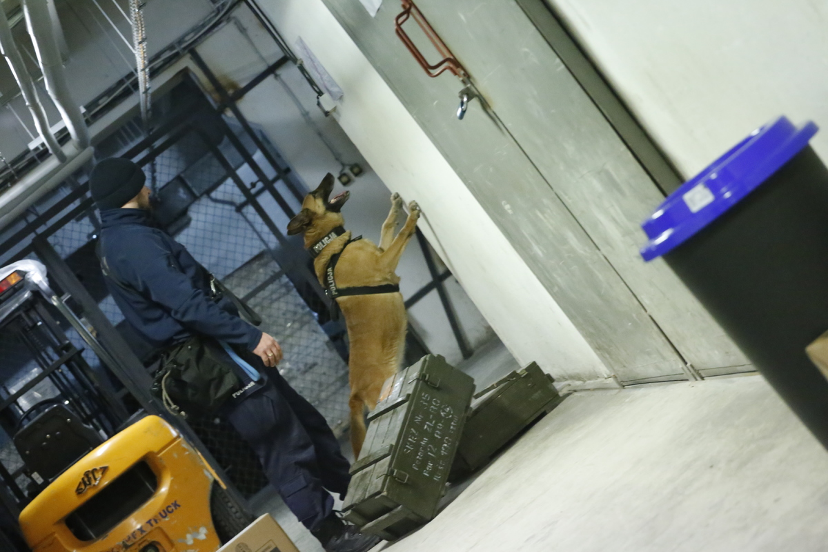 Policjant z psem służbowym w czasie szkolenia.
