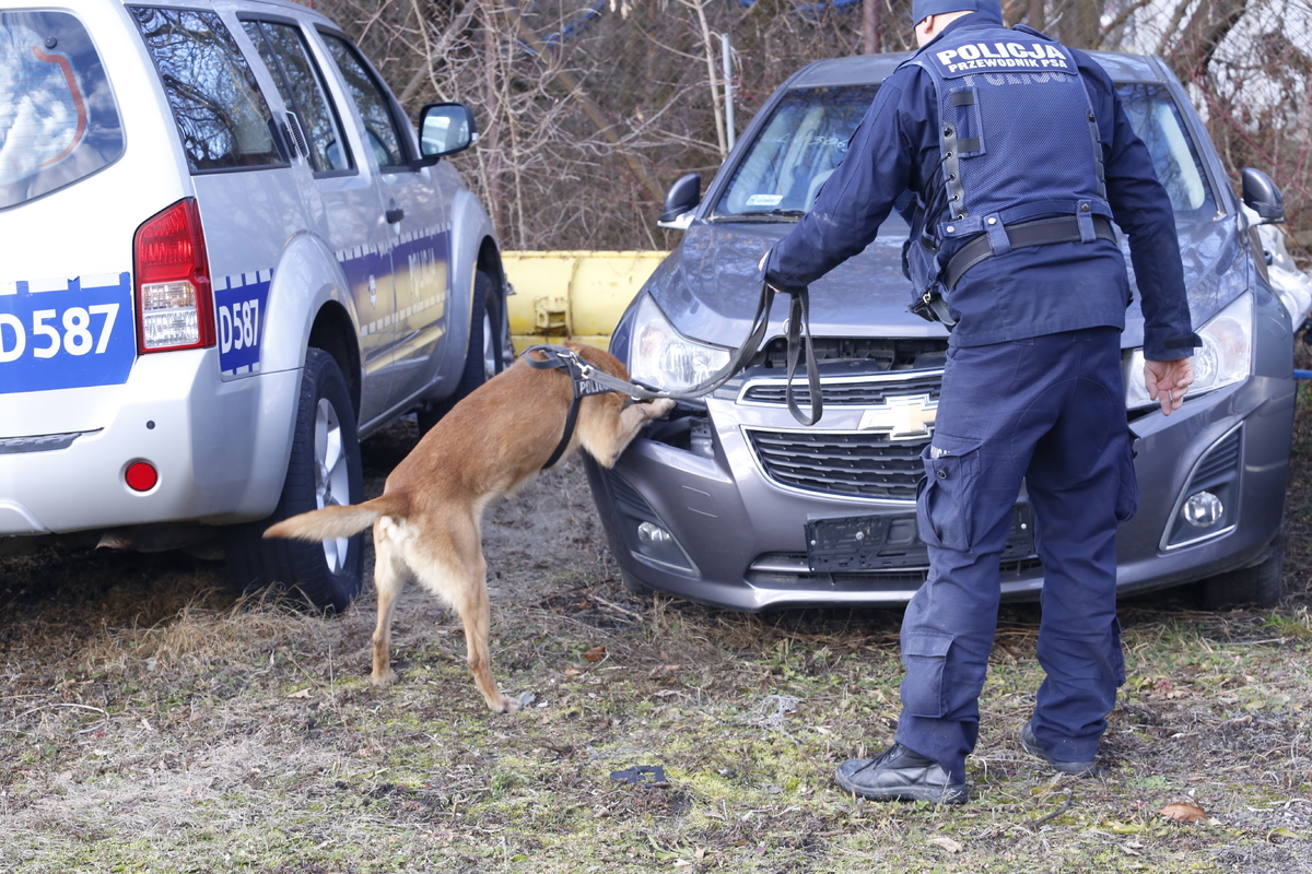 Policjant z psem służbowym w czasie szkolenia.