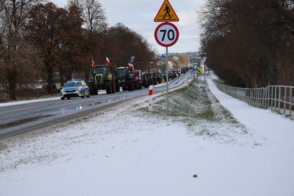 policjanci podczas zabezpieczania protestu