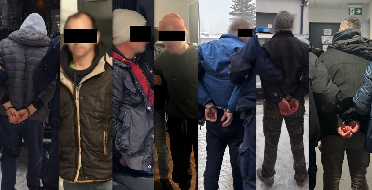 Kolaż zdjęć z siedmioma zatrzymanymi osobami.