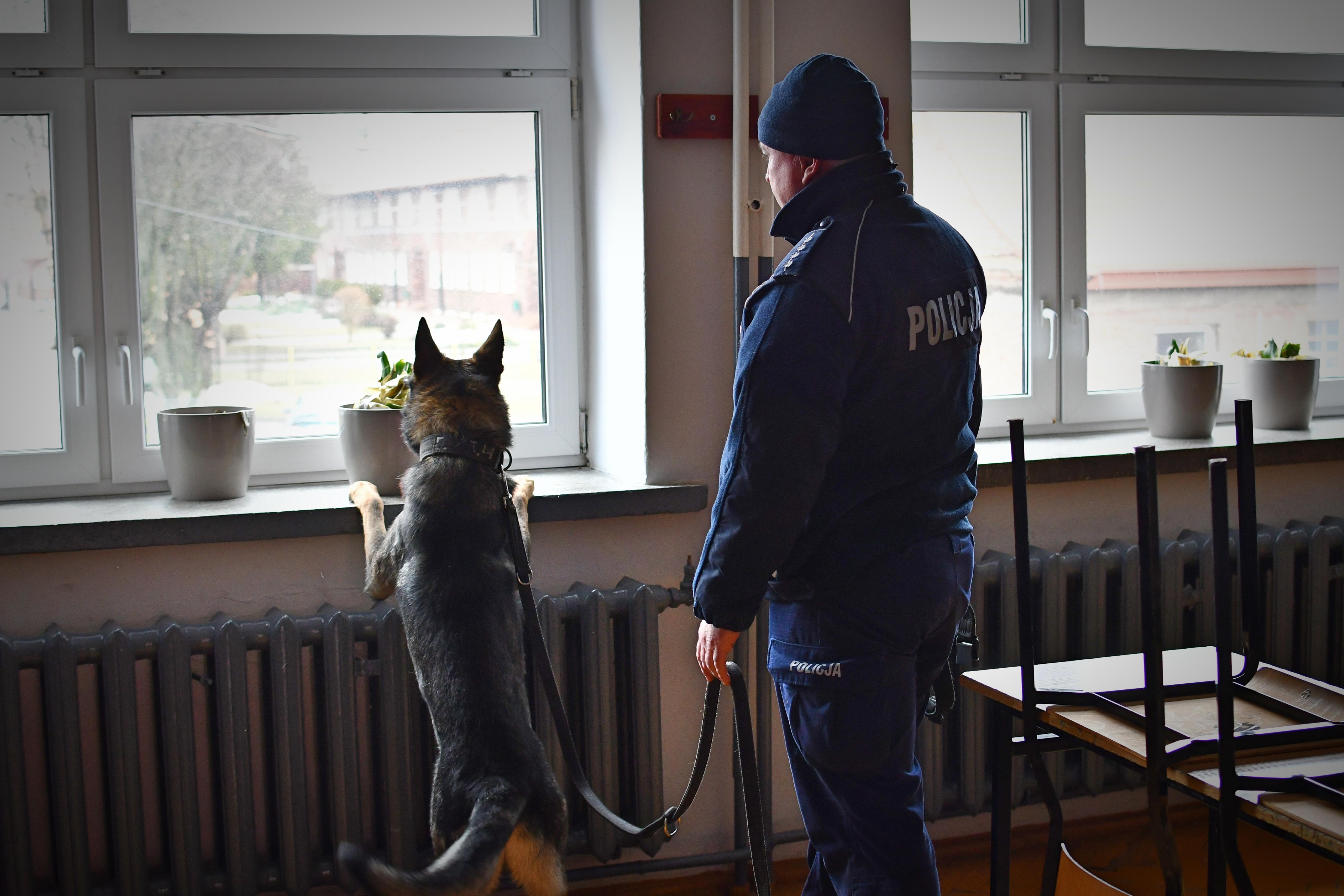 policjant z psem służbowym na sali lekcyjnej 