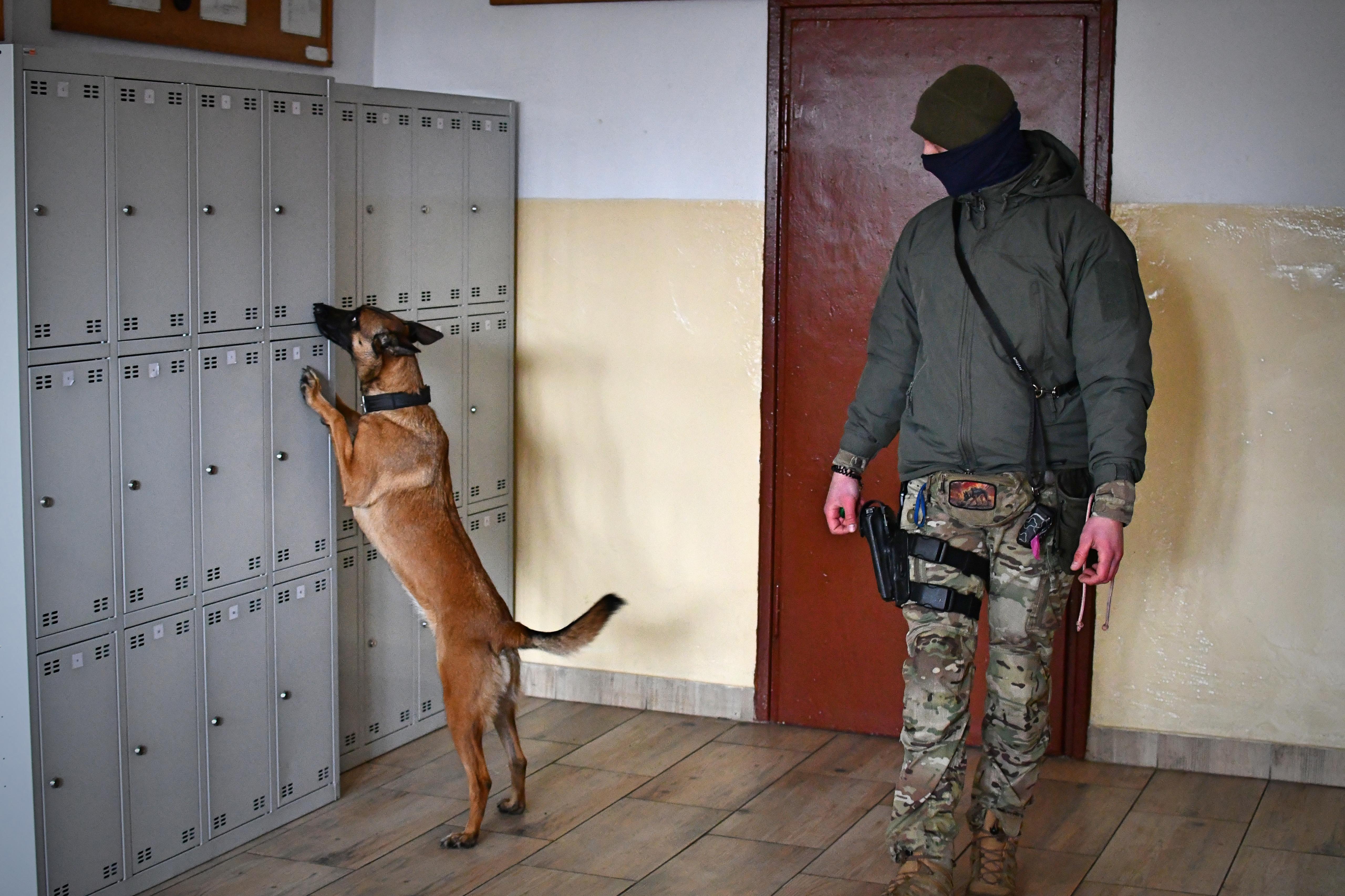 funkcjonariusz z psem służbowym na korytarzu szkolnym