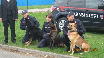 Niemieccy przewodnicy wraz ze swoimi psami służbowymi
