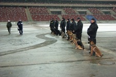 Pokaz szkolenia psów służbowych na stadionie narodowym w Warszawie