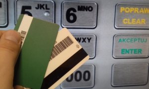 fot. zdjęcie poglądowe