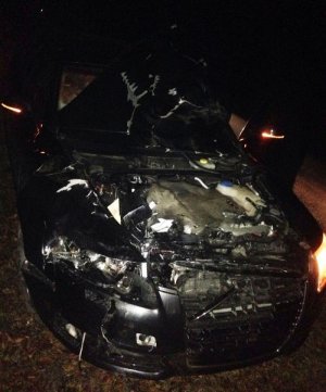 rozbity samochód po zderzeniu z jeleniem