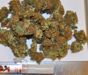 fot. susz marihuany zabezpieczony u 21-latka i tester