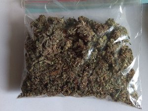 marihuana w woreczku