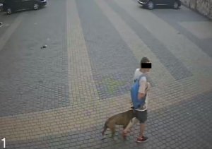 sprawca kradzieży wraz z psem