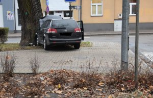 fot. opel, który uderzył w drzewo