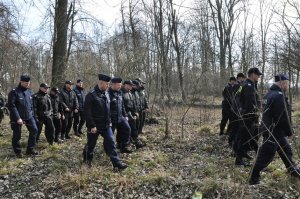 policjanci podczas ćwiczeń idą przez las