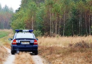 radiowóz na drodze polnej w tle las