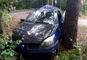 granatowy samochód osobowy stoi przodem wbity z jednej strony w drzewo