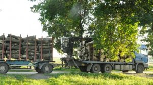 samochód ciężarowy z przyczepą załadowany drewnianymi klocami