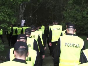 policjanci wchodzą do lasu