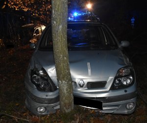 Renault Scenic uderzył w drzewo
