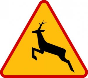 znak drogowy uwaga zwierzęta na drodze