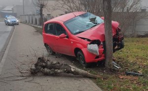 stojący przy drzewie uszkodzony samochód marki Chevrolet, w tle betonowy płot i dwa radiowozy