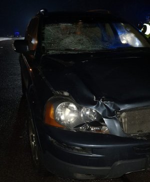 Volvo z rozbita szybą i  lewym reflektorem