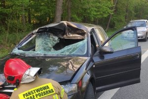 uszkodzony pojazd po zderzeniu z łosiem. Strażak podczas akcji