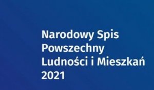 logo Narodowego Spisu Powszechnego 2021