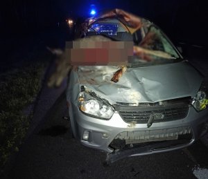 uszkodzony pojazd po zderzeniu złosiem