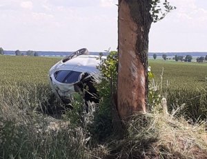 biały pojazd uderzony w drzewo