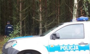 Policyjny radiowóz przy lesie. W tle policjant