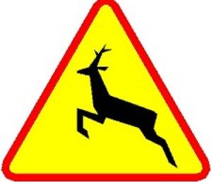 znak drogowy Uwaga na dzikie zwierzęta na drodze
