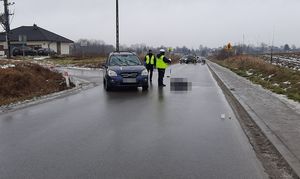 policjant i pojazd na miejscu wypadku