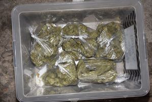 woreczki z marihuaną w pojemniku