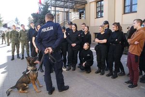 przewodnik psa na spotkaniu z uczniami klas policyjnych