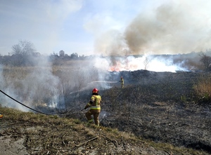 strażacy gaszą pożar łąk