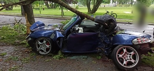 zdjęcie przedstawia samochód marki Porsche który rozbił się o drzewo