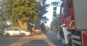 dwa pojazdy stojące na poboczu, wóz straży pożarnej i funkcjonariusze obsługujący zdarzenie