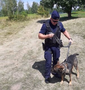 policjant z psem podczas poszukiwań