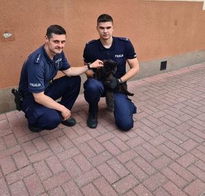 policjanci i kot