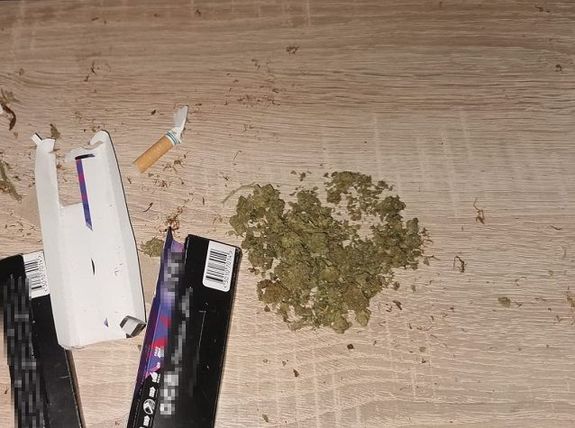 rozsypany na biurku susz marihuany