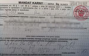 mandat karny