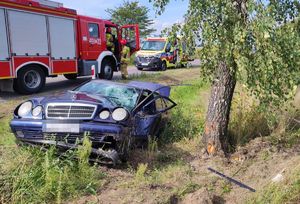 rozbite auto przy drzewie, w tle widać wóz strażacki i karetkę
