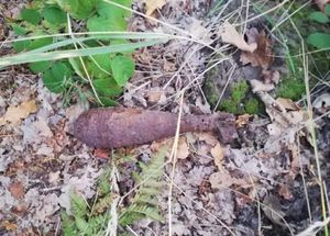 granat moździerzowy znaleziony w lesie