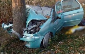 rozbity samochód osobowy o drzewo.