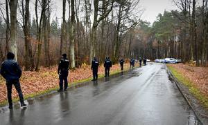Policjanci ustawieni do przeszukania lasu
