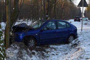 miejsce wypadku drogowego w Krzówce, stojący przy drzewie samochód Seat, obok policjant