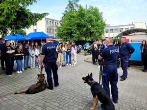policyjni przewodnicy z psami służbowymi, w tle młodzież szkolna
