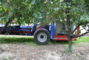 ciągnik rolniczy stoi obok drzewa
